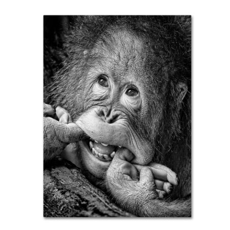 Trademark Fine Art Angela Muliani Hartojo 'Big Smile Please' Canvas Art, 14x19 1X00018-C1419GG